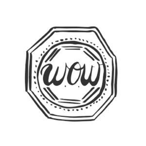 The W O W Project Inc